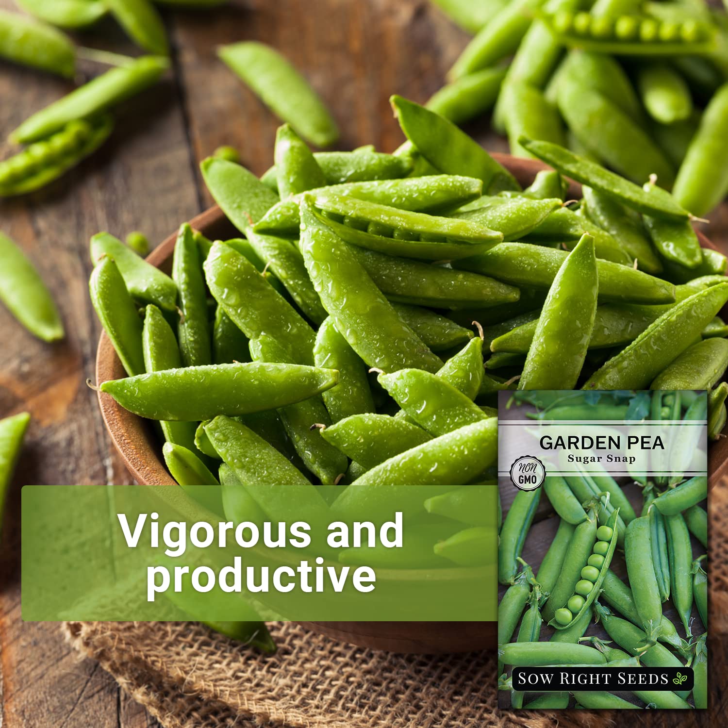 Sow Right Seeds Sugar Snap Peas pods bursting with crunchy peas