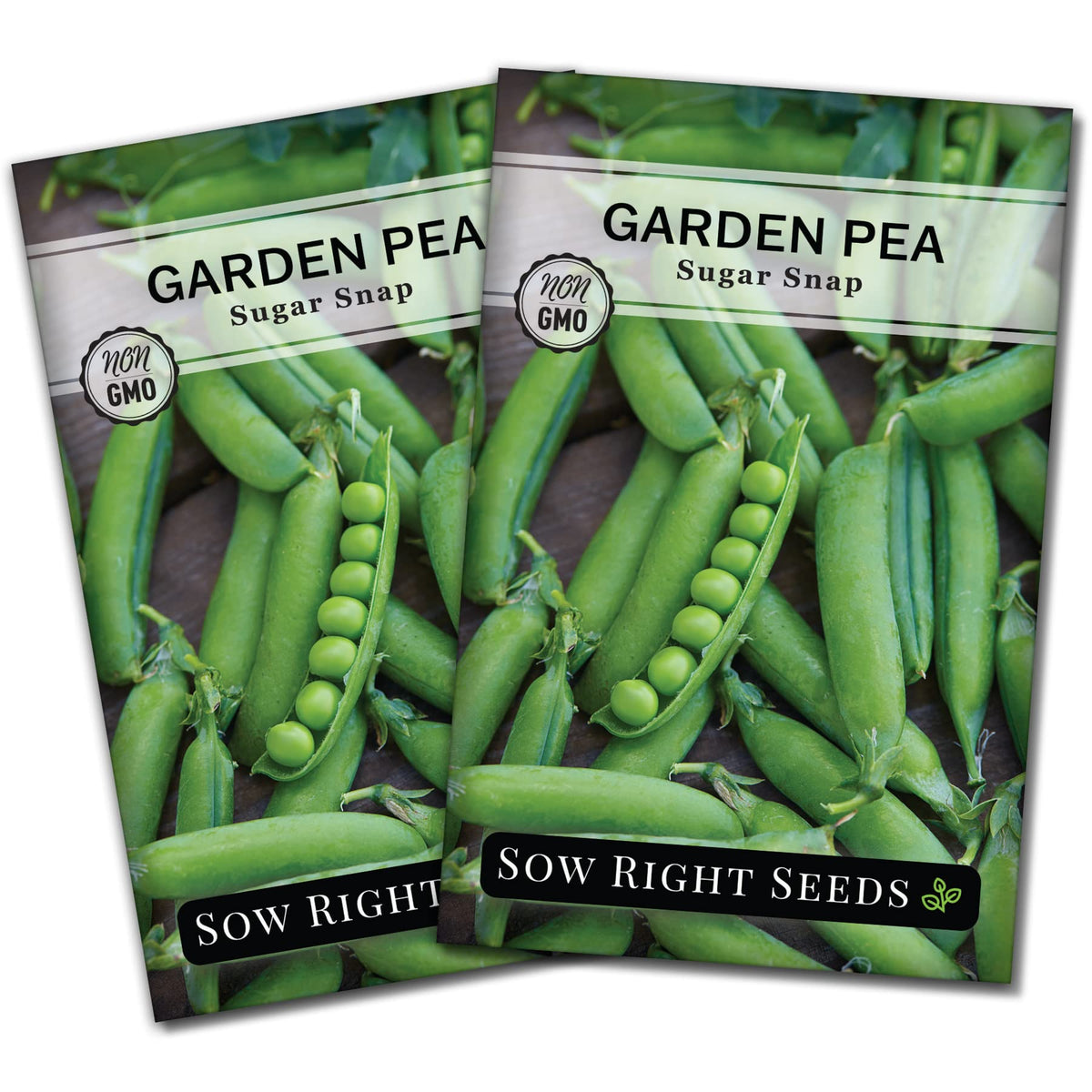Sow Right Seeds Sugar Snap Peas pods ready to eat fresh from the garden