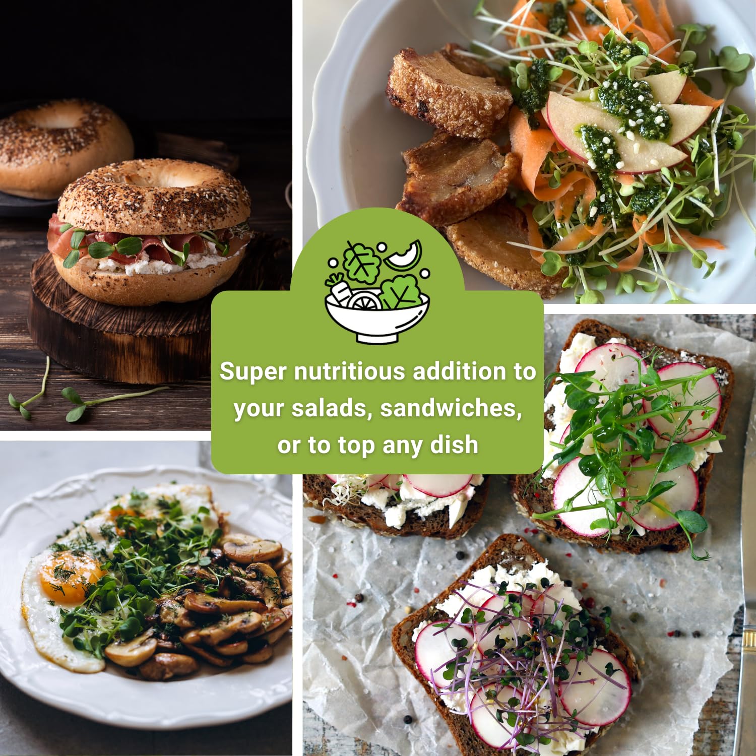 Sow Right Seeds sunflower microgreen packet delivering sweet, nutty sprouts for meals.