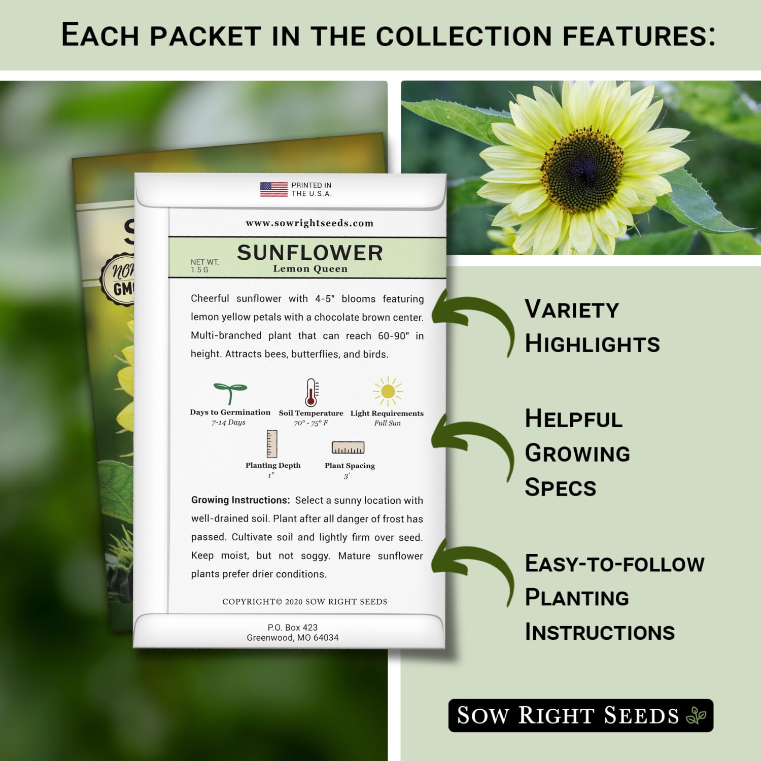 Sow Right Seeds Sungold sunflower packet with bright orange petals attracting bees.