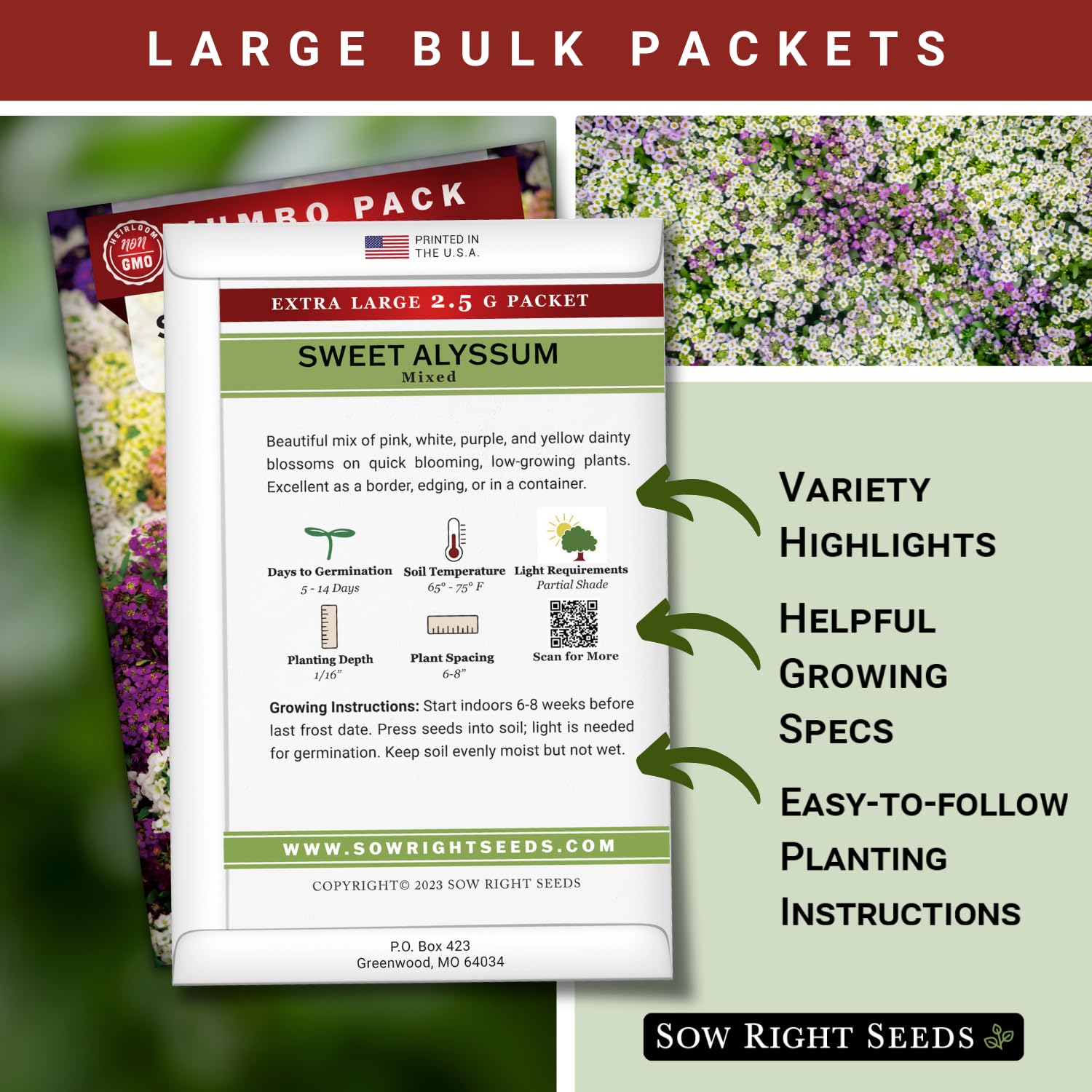 Sweet Alyssum mix border plants by Sow Right Seeds brighten garden edges.