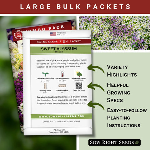 Sweet Alyssum mix border plants by Sow Right Seeds brighten garden edges.