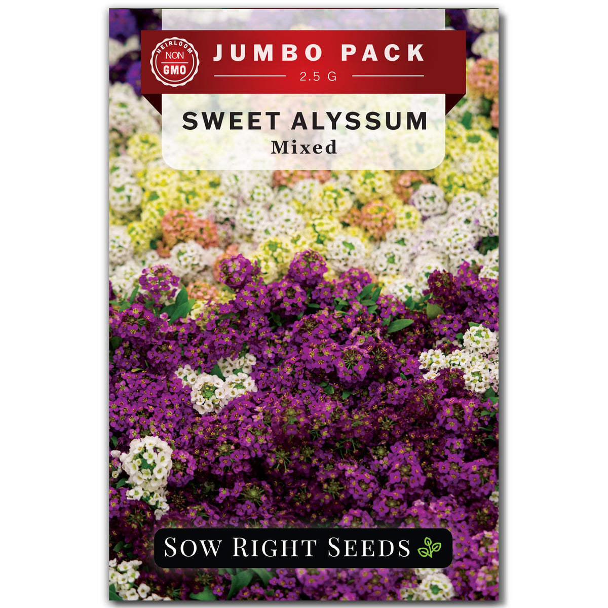 Sow Right Seeds Sweet Alyssum Mix seeds for bulk planting in borders.