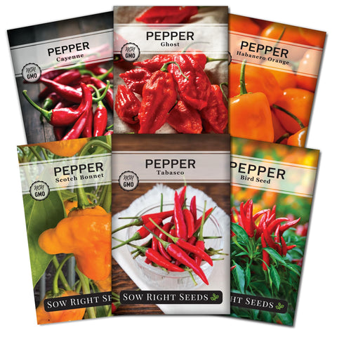 Sow Right Seeds Tabasco pepper seeds packet for vibrant home garden harvest.