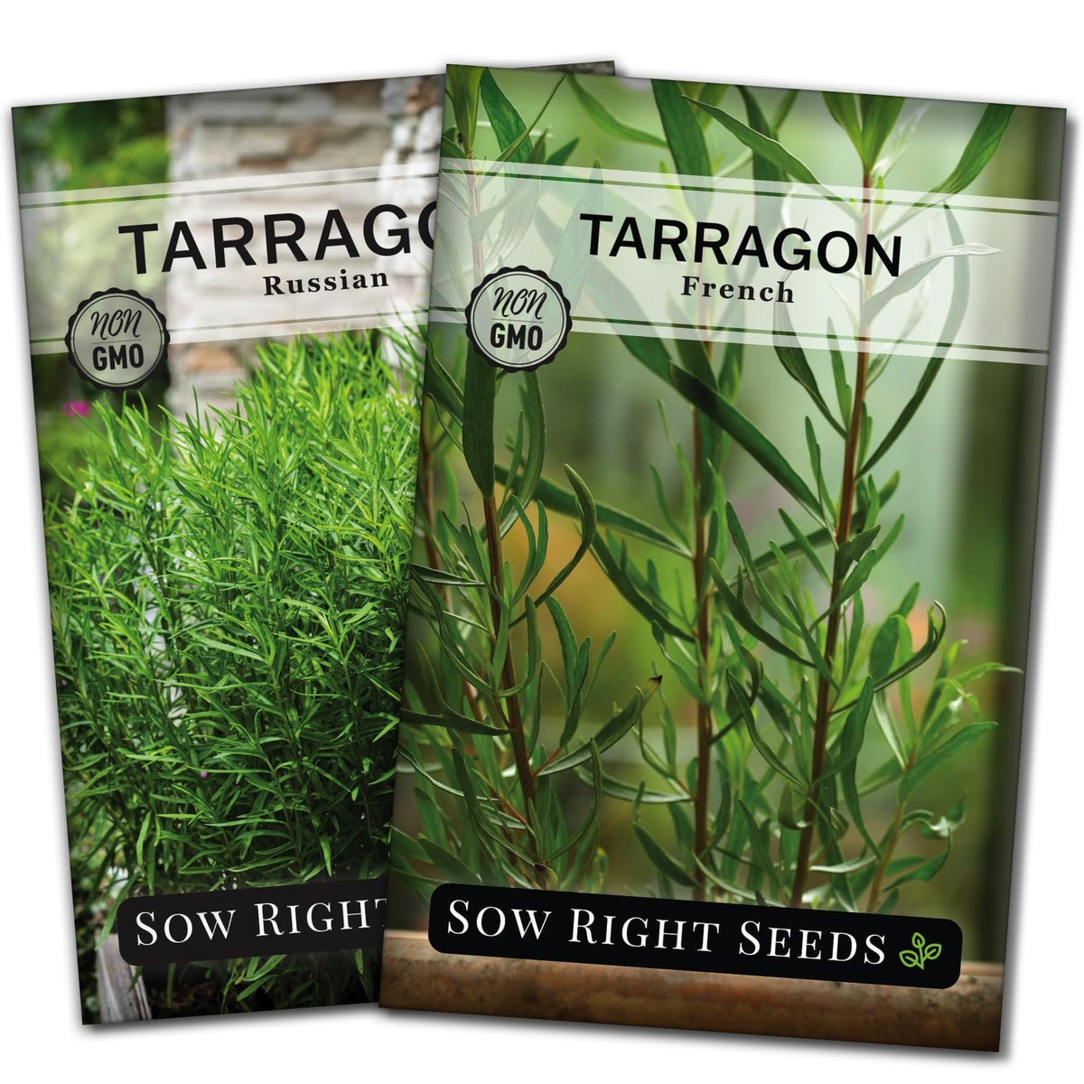 Sow Right Seeds Tarragon seed collection packets show French and Russian varieties for fresh homegrown herbs.
