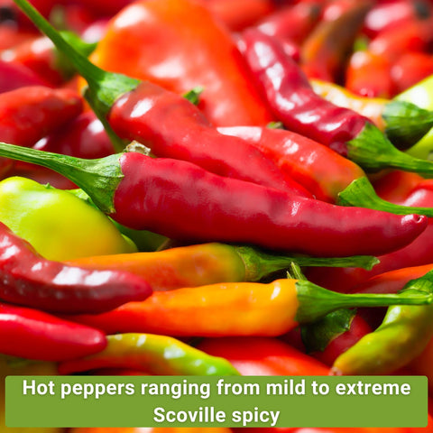 Sow Right Seeds Thai pepper seeds packet for quick, flavorful heat.