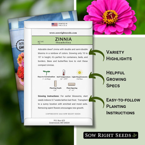 Thumbelina Zinnia bloom displays multi-color petals for bright bouquets.