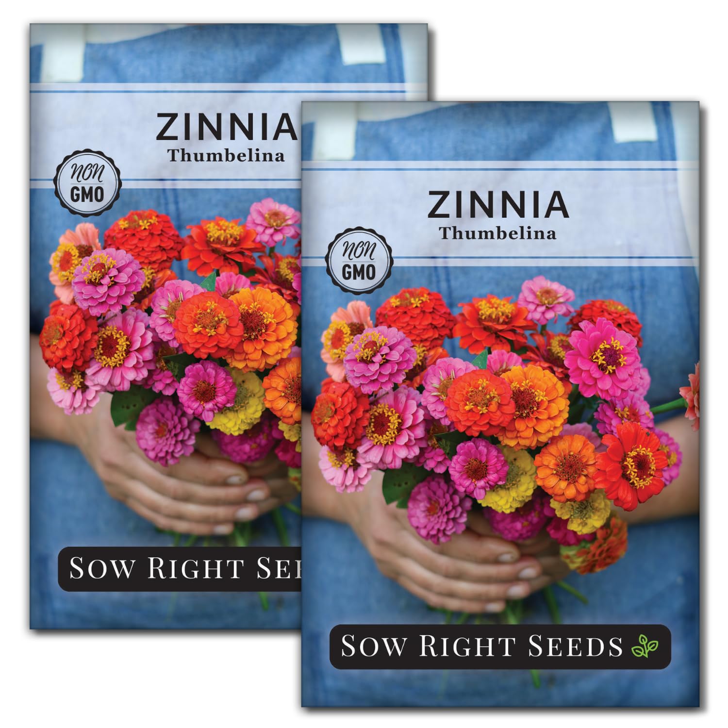 Sow Right Seeds Thumbelina Zinnia seed packet ready for easy planting and color.