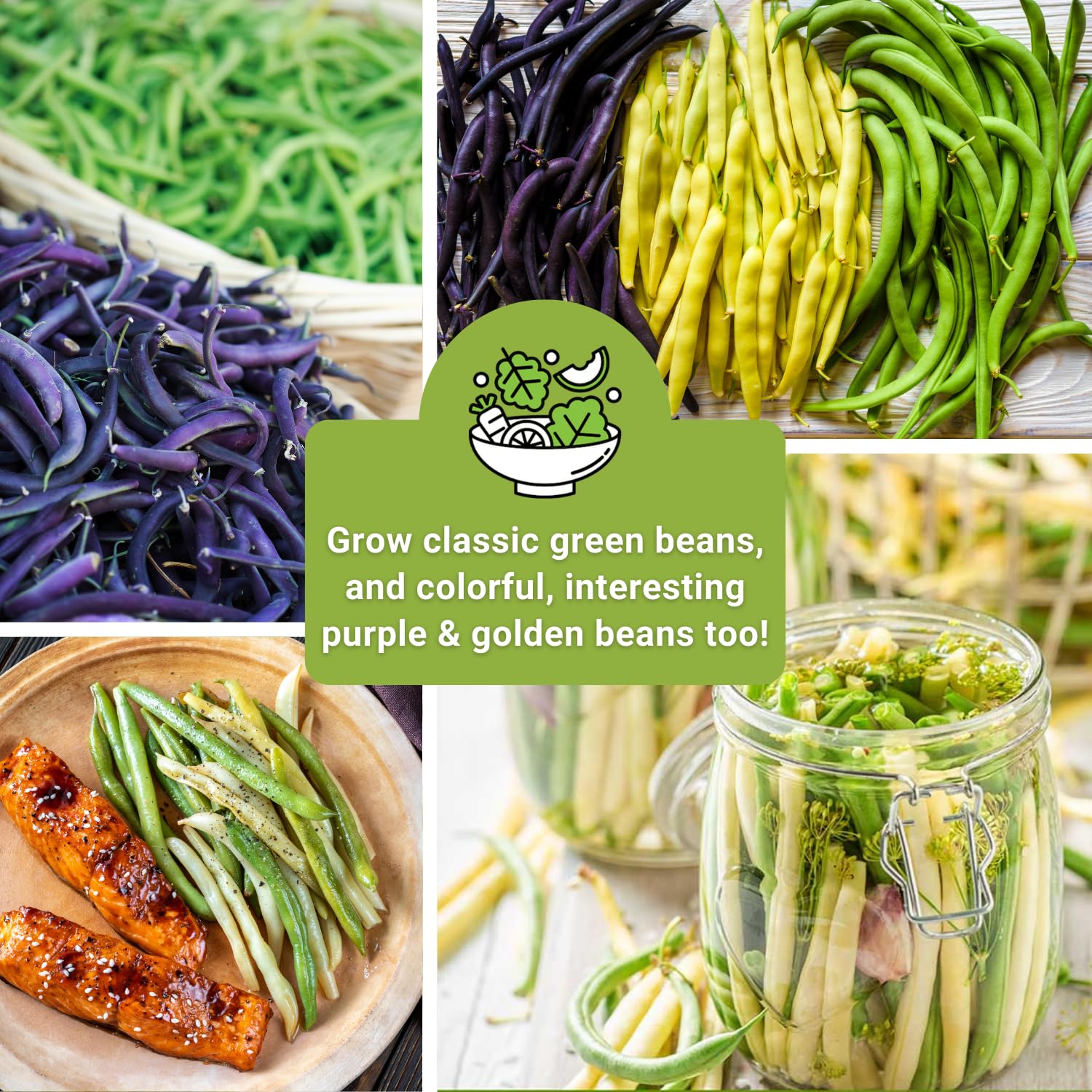 Sow Right Seeds Golden Wax beans harvest close-up showing crisp pods.