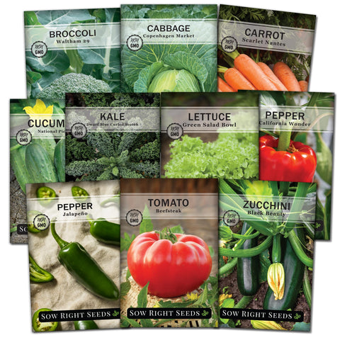 Sow Right Seeds broccoli image with Waltham heads ideal for fresh home meals