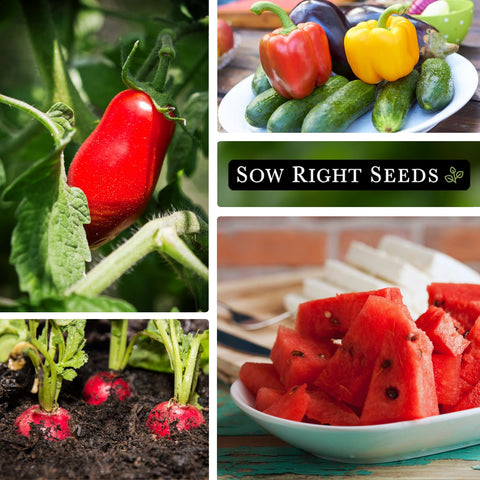 Sow Right Seeds carrot image showcasing Scarlet Nantes roots for vibrant side dishes