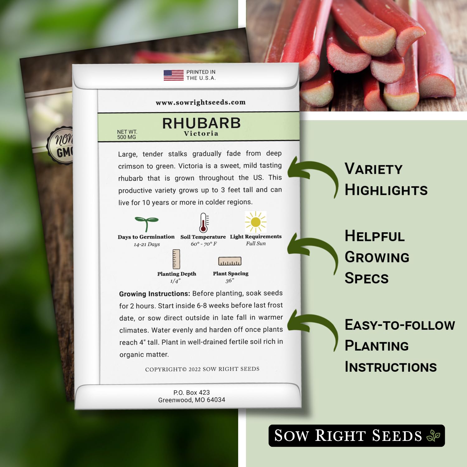 Victoria Rhubarb crimson stalks illustrate vibrant harvest potential.