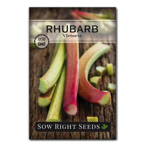 Sow Right Seeds Victoria Rhubarb seed packet ready for outdoor planting.