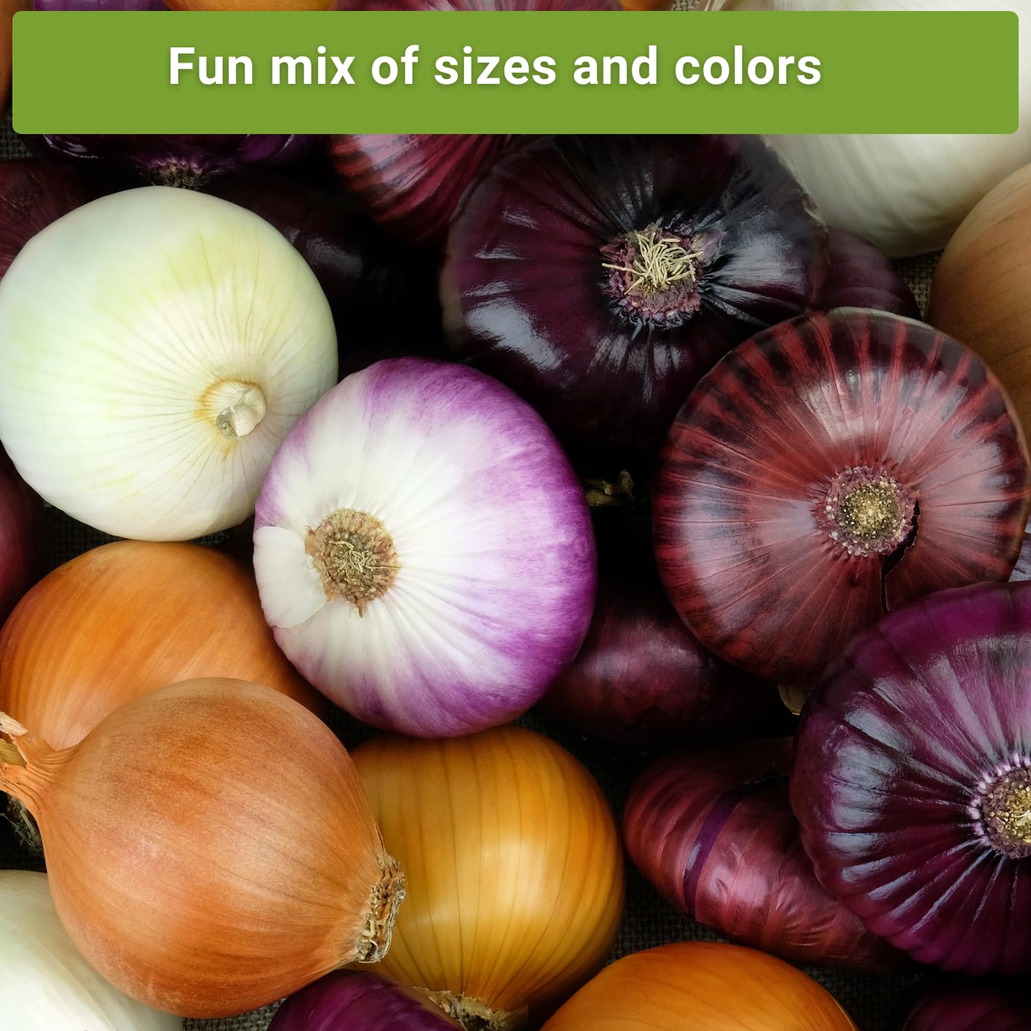 Sow Right Seeds Walla Walla onion seeds packet for mild, versatile onions