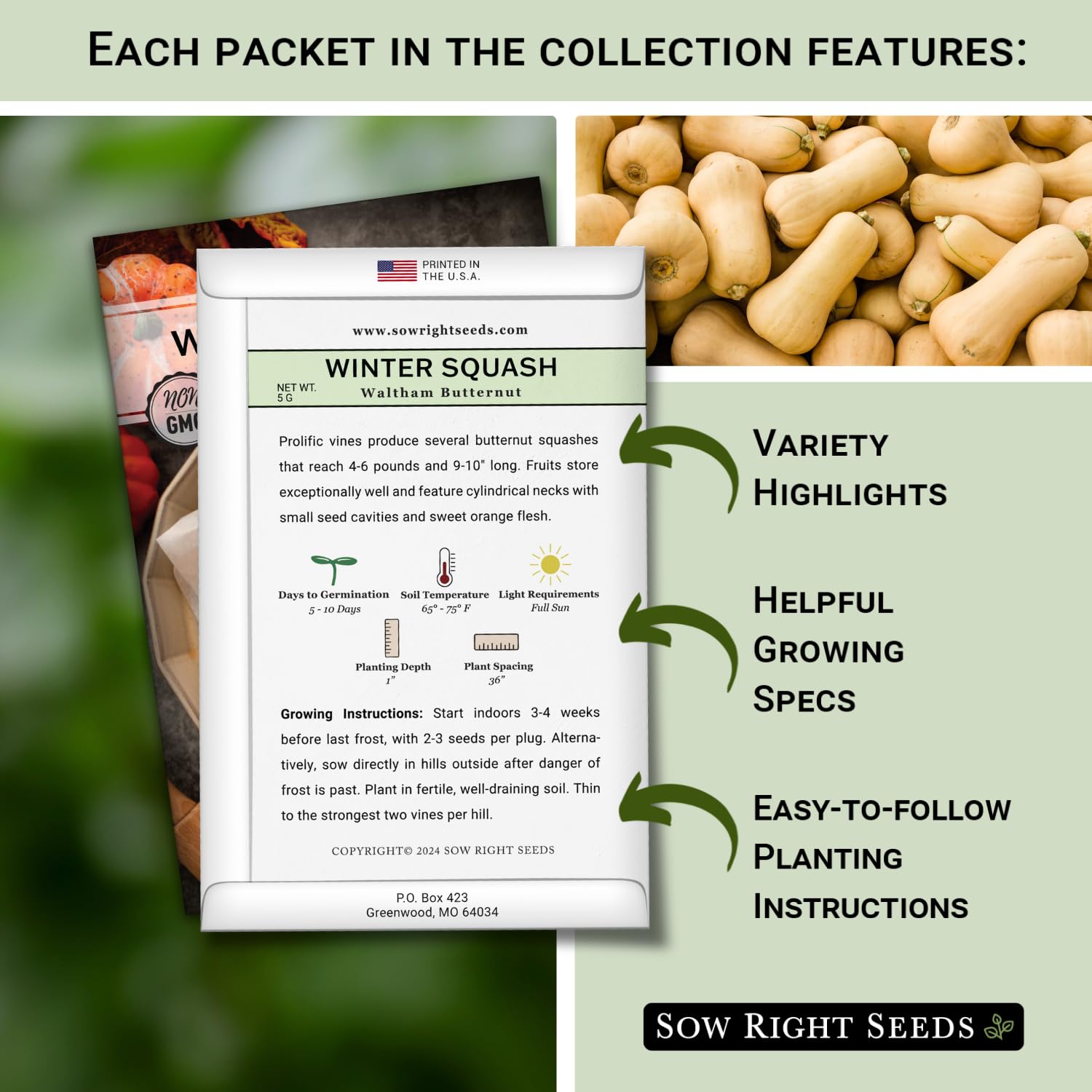 Sow Right Seeds Waltham Butternut squash fruit close-up for hearty oven-roasted meals