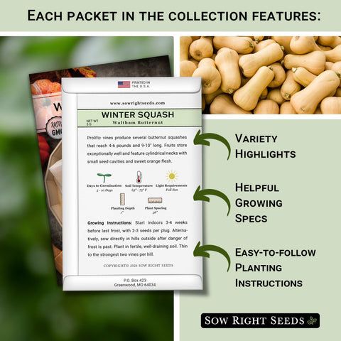 Sow Right Seeds Waltham Butternut squash fruit close-up for hearty oven-roasted meals