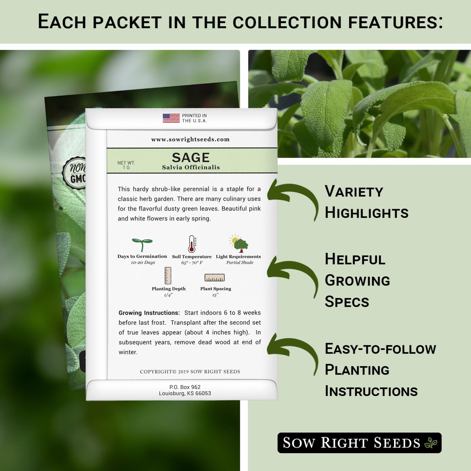 Sow Right Seeds white sage seed packet for versatile herbal use and pollinator-friendly garden