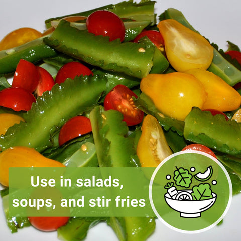 Sow Right Seeds Winged Bean Non-GMO heirloom packaging highlights quality.