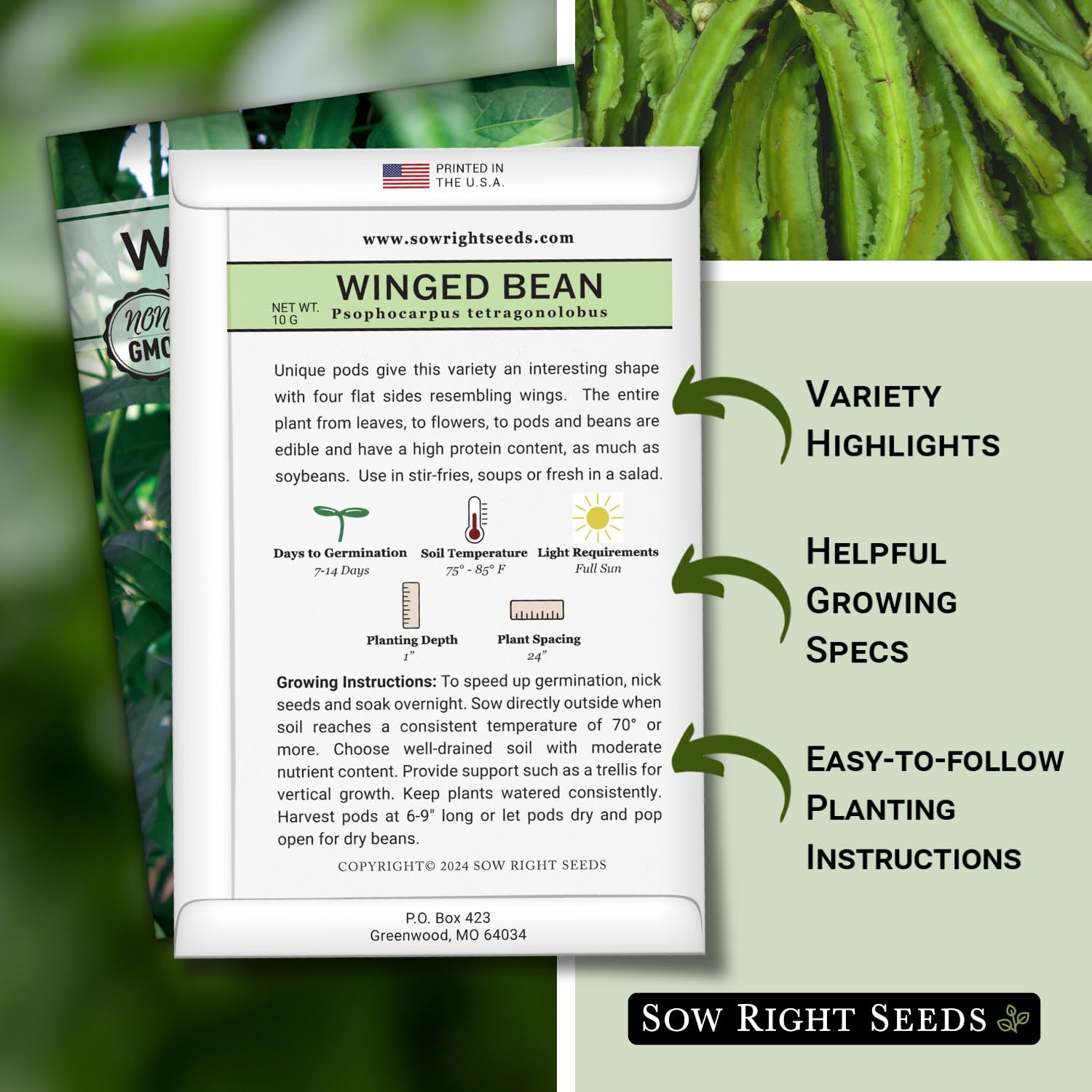 Sow Right Seeds Winged Bean pods on a vine with winged shape for exotic meals.
