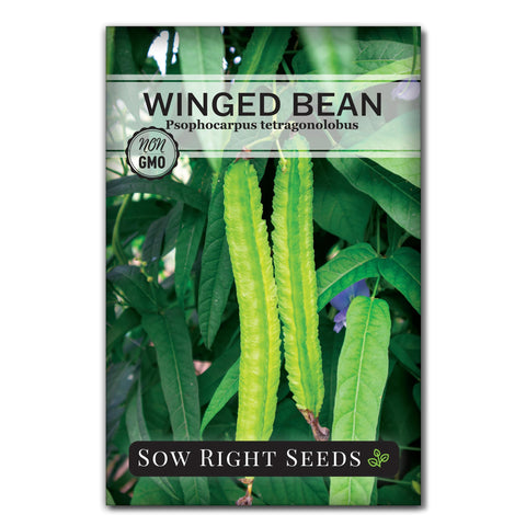 Sow Right Seeds Winged Bean seed packet ready for backyard planting toward an abundant harvest.