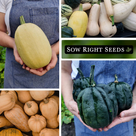 Sow Right Seeds winter squash collection seed pack image ready for home planting