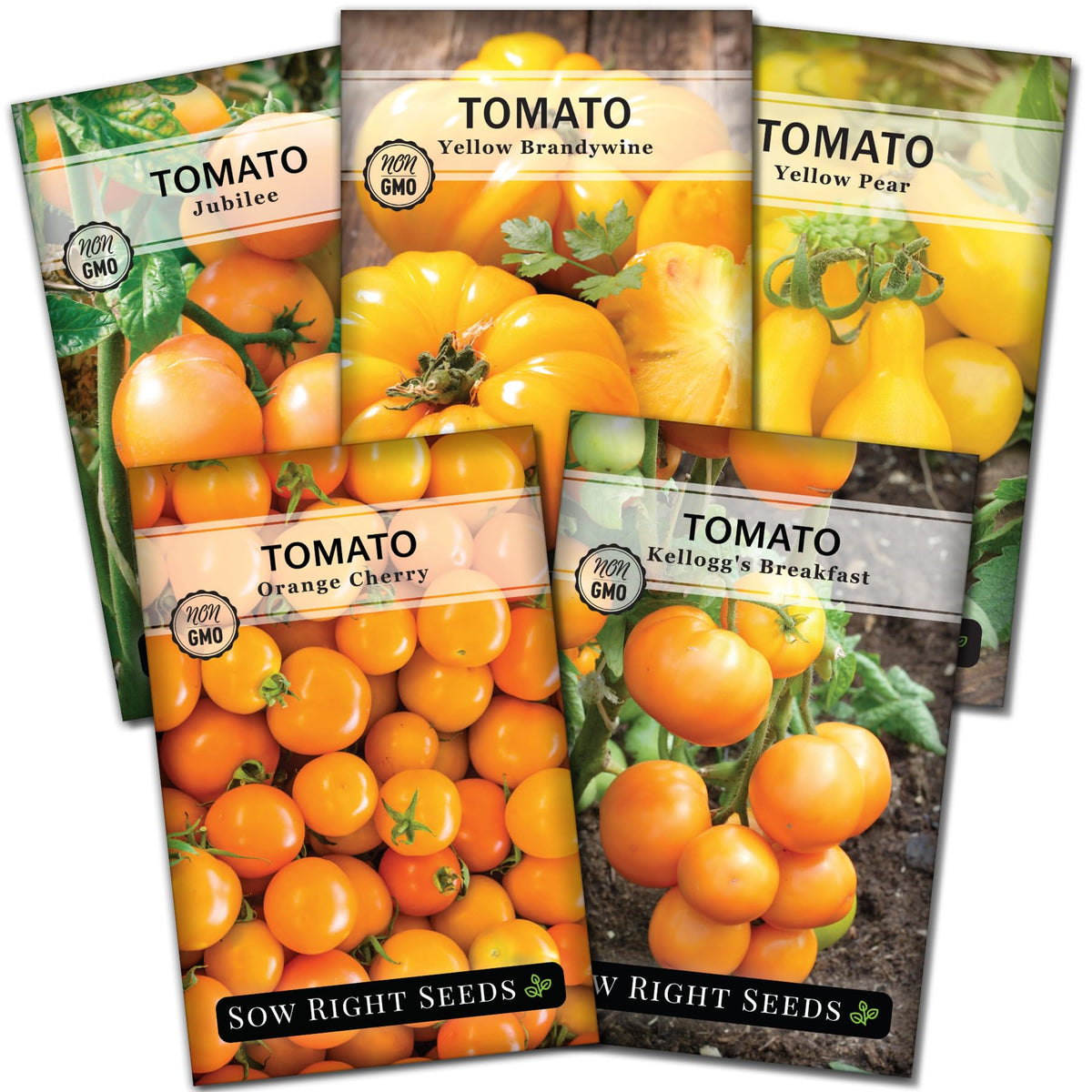 Sow Right Seeds Yellow Brandywine tomato seed for juicy homegrown harvests