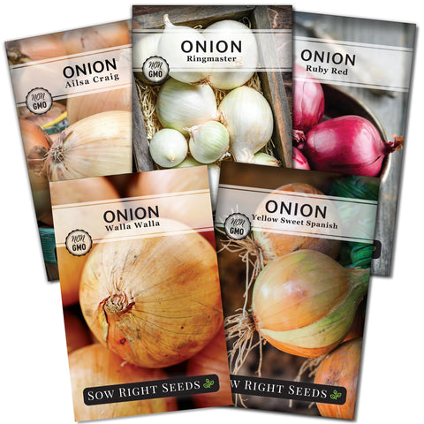 Sow Right Seeds Yellow Sweet Spanish onion seeds packet for vibrant homegrown flavor
