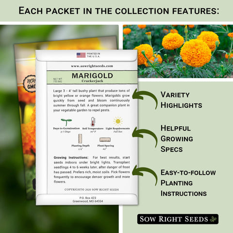 Sow Right Seeds zinnia packets deliver bold blooms ideal for cut flower arrangements.