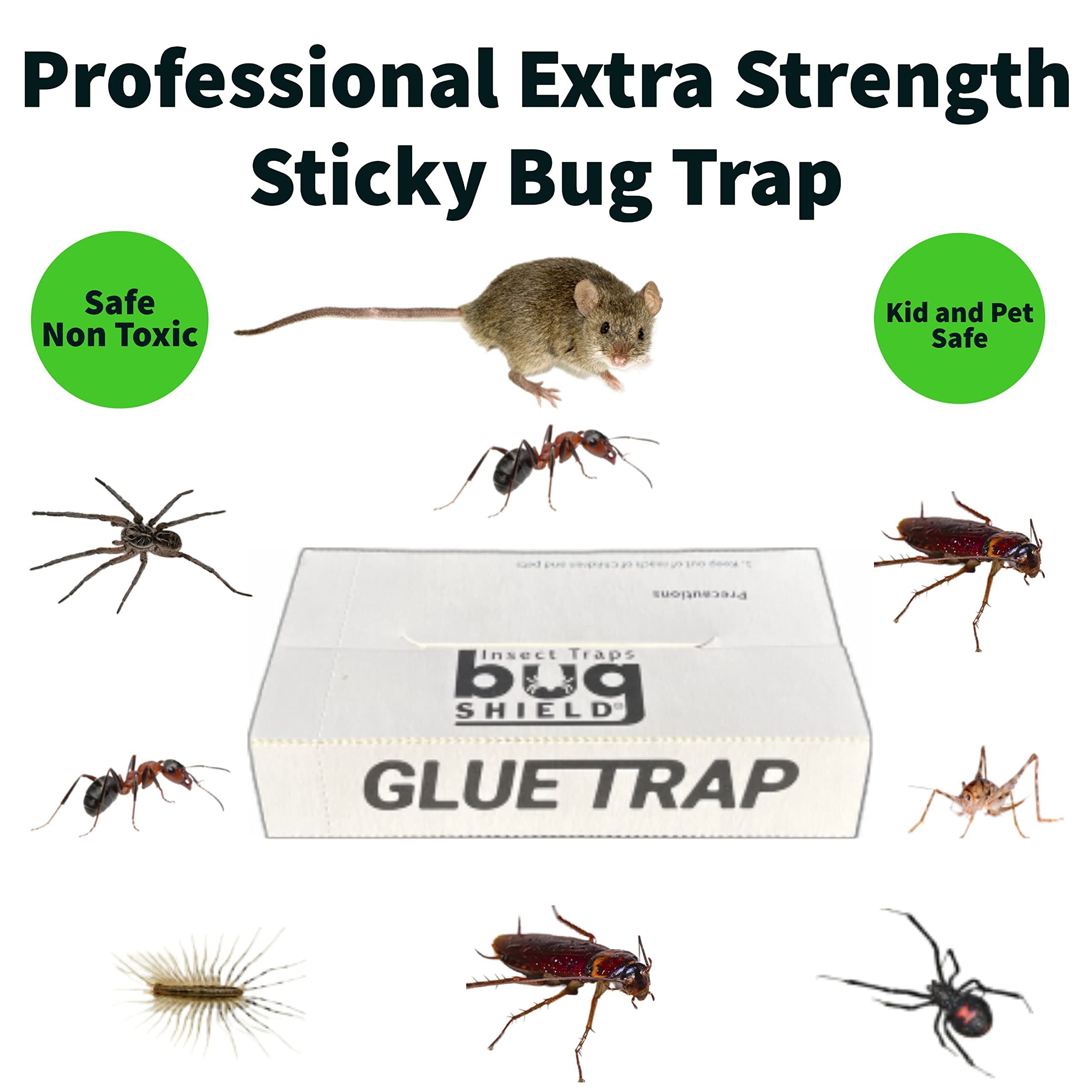 SOYLITE CANDLES Bug Shield glue trap in kitchen helps manage pantry pests.