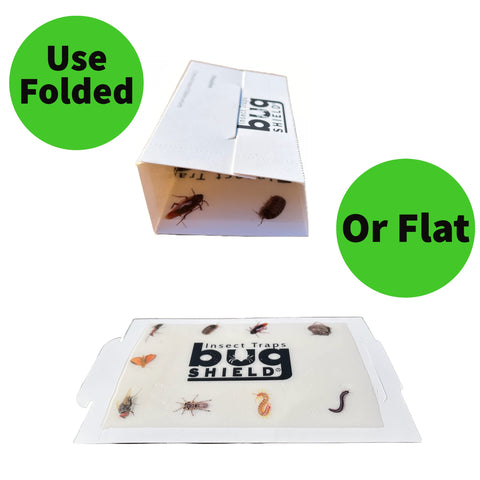 SOYLITE CANDLES Bug Shield traps behind appliances to corral creeping insects.