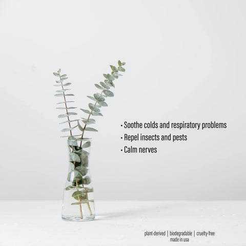 Bathroom refresh with eucalyptus spray for quick scent lift