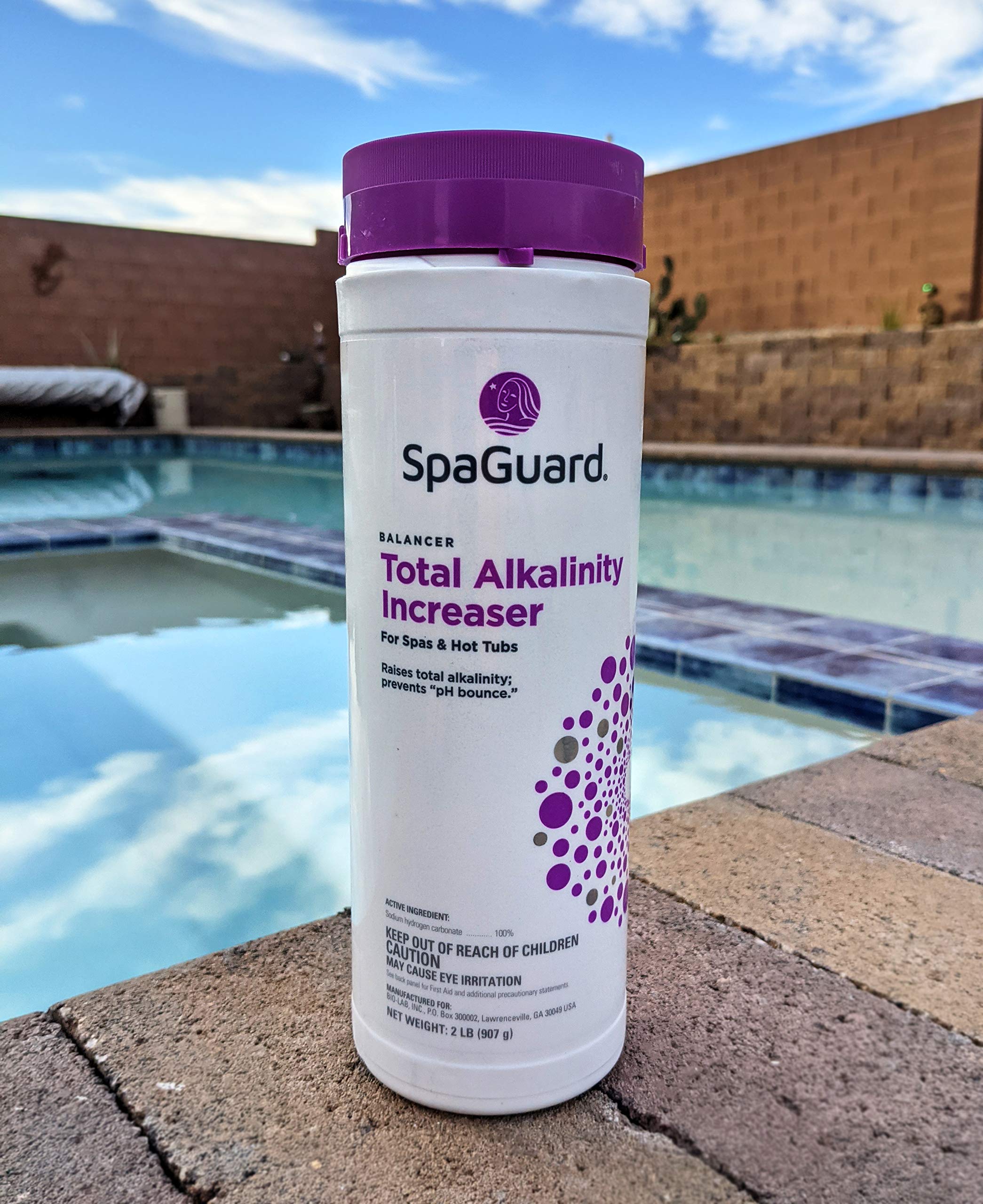 SpaGuard Total Alkalinity Increaser label closeup shows easy-to-use spa treatment.