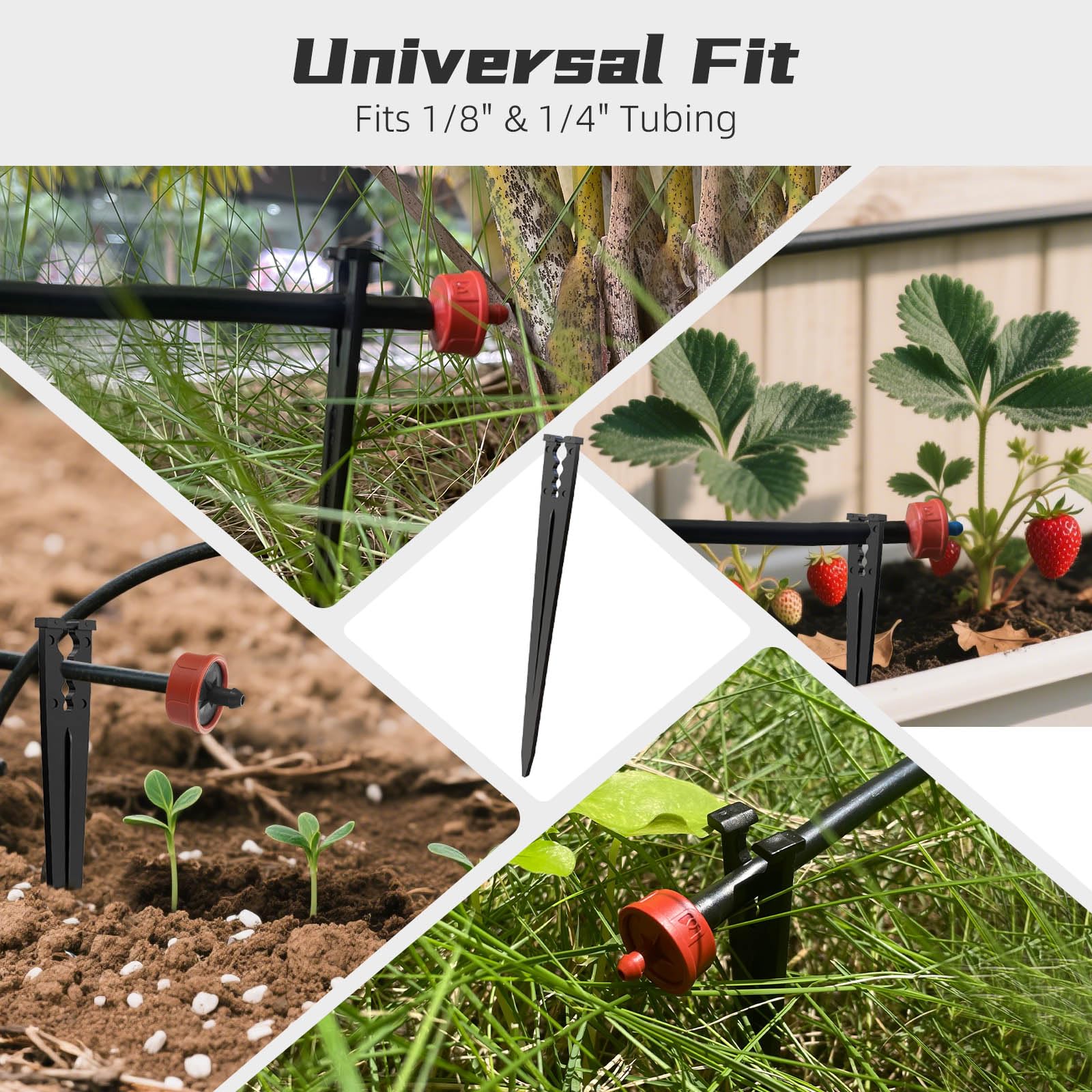 Spalolen low-profile black stakes blend into soil for a neat garden.