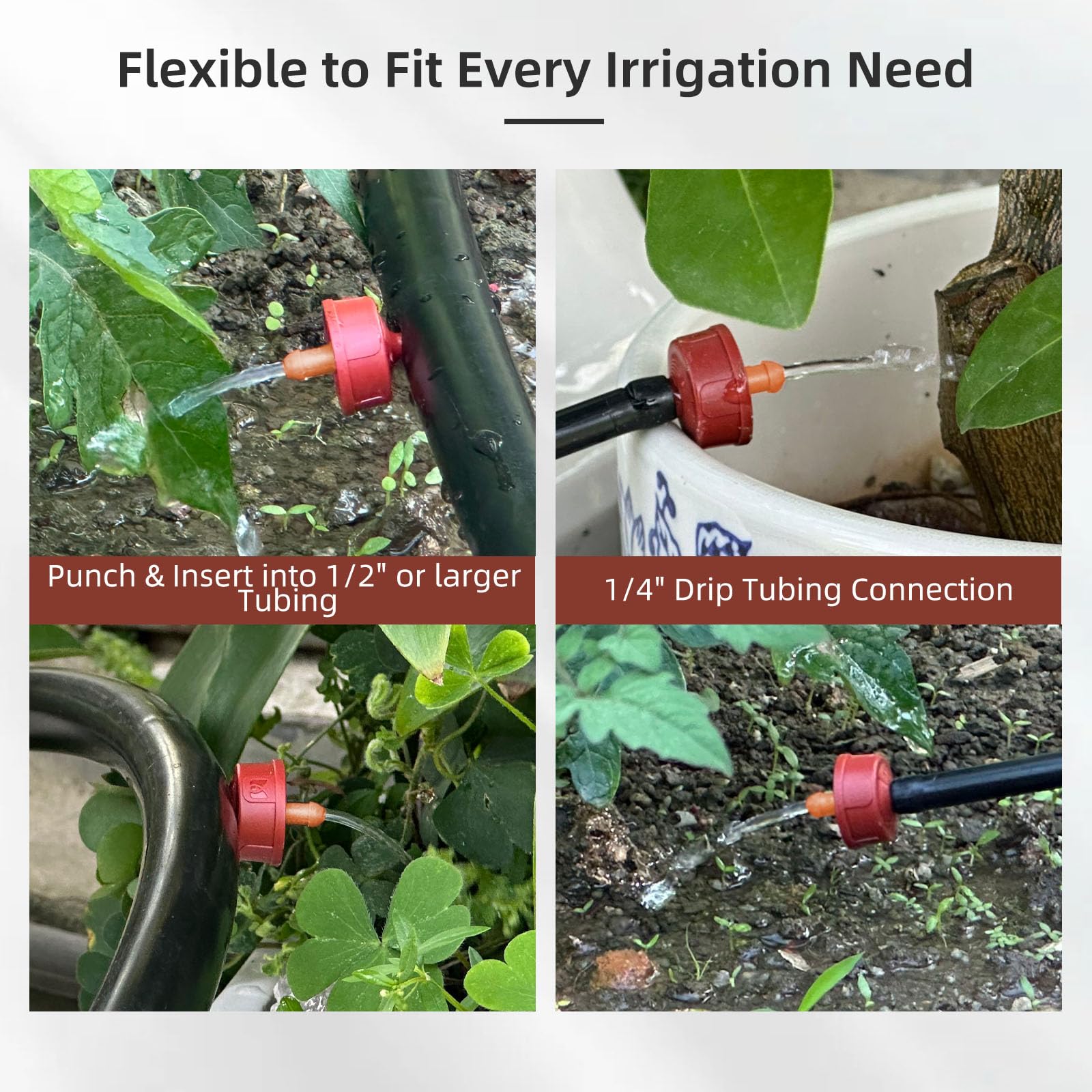 Spalolen multiple flow options from 0.25 to 4 GPH for plant variety.