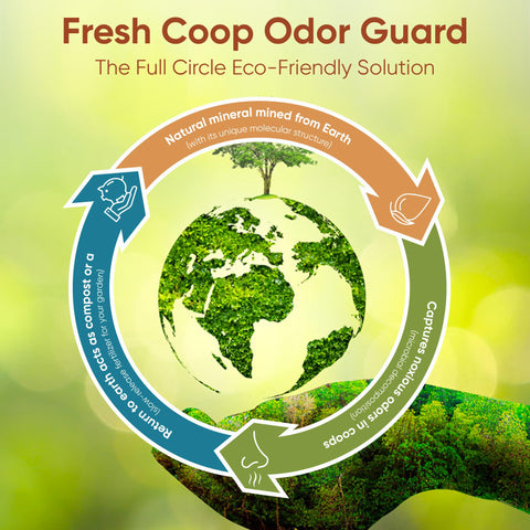 Spanielbuns coop air cleaner environment suggests improved air quality for birds