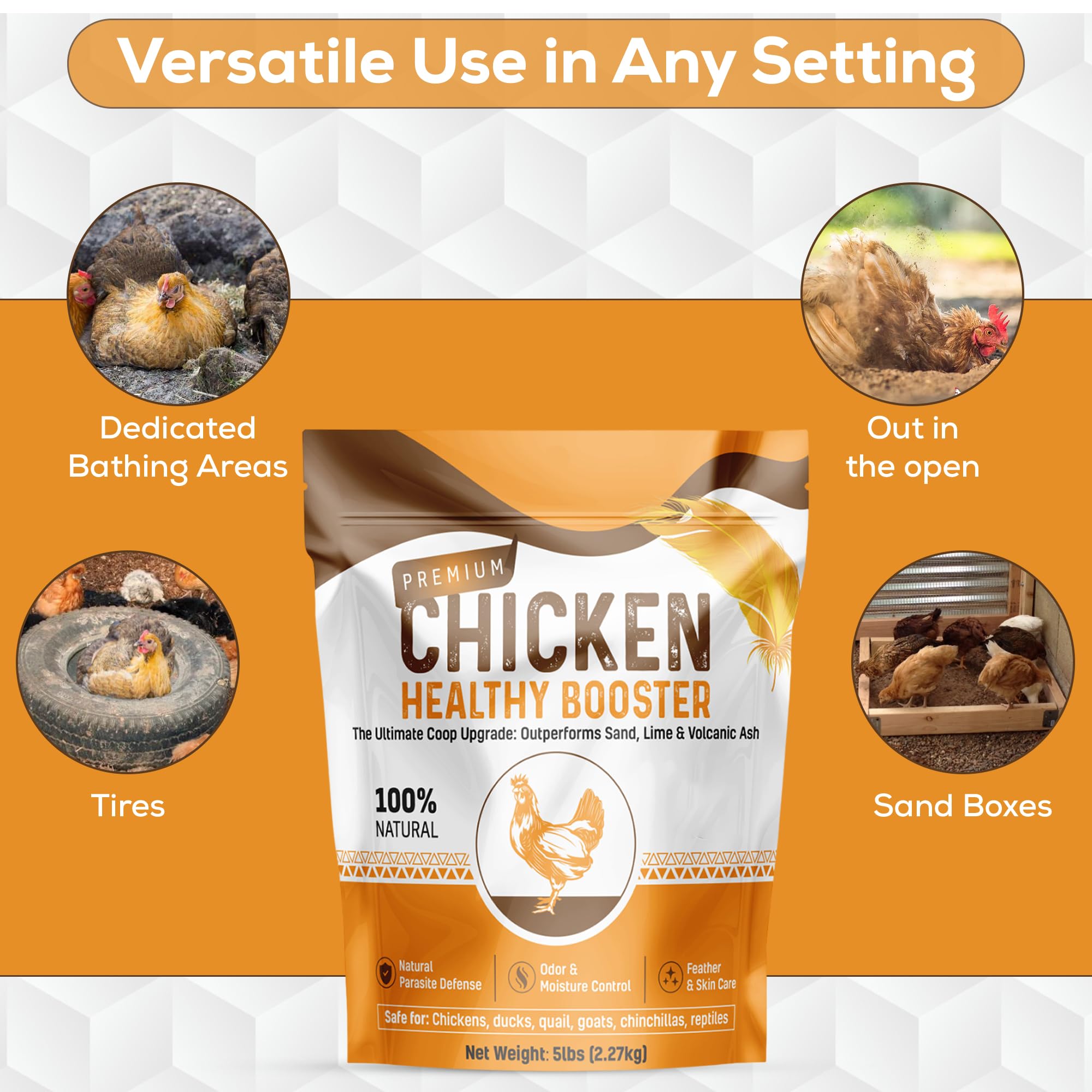 Spanielbuns feather care dust supports calm hens during dust baths.