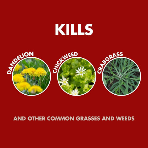 Around trees and flower beds protected by Spectracide weed control
