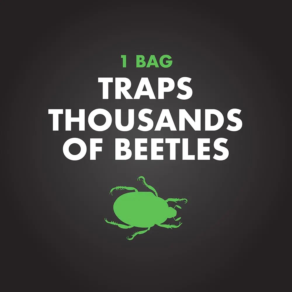 Six replacement bags per carton support ongoing seasonal beetle control.