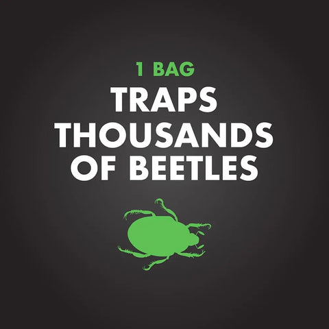Six replacement bags per carton support ongoing seasonal beetle control.