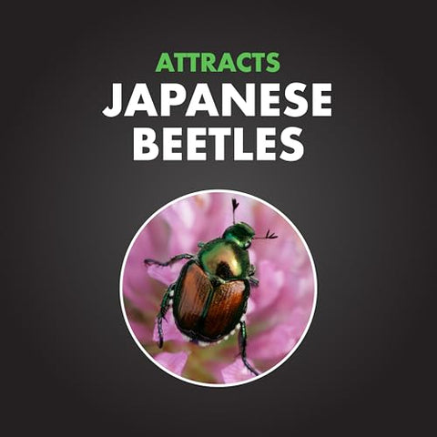 Spectracide Bag-A-Bug lure cartridge attracts beetles for yard protection