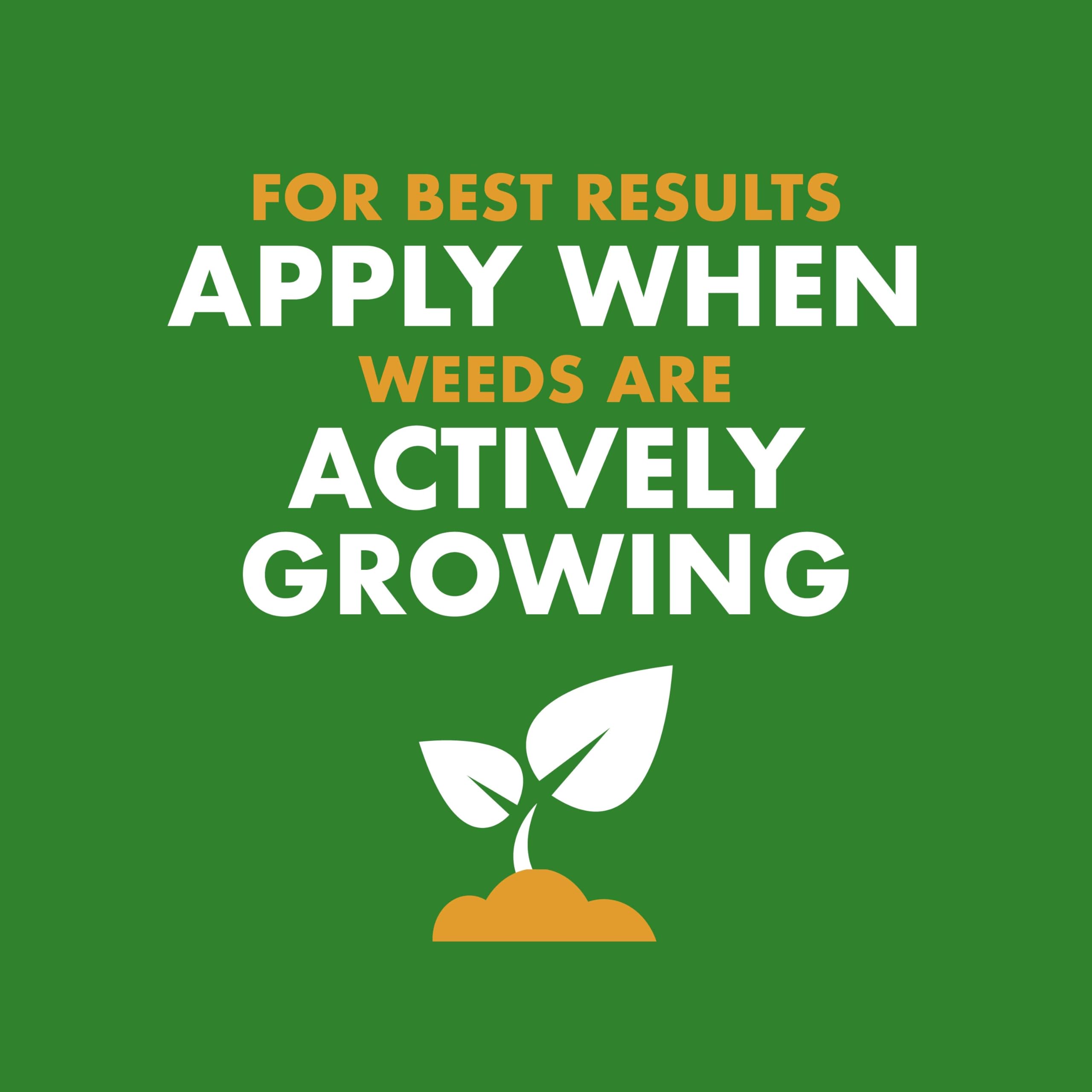 Lawn receives nutrients from Spectracide Weed & Feed while combating weeds.