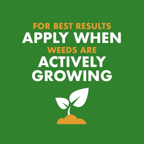 Lawn receives nutrients from Spectracide Weed & Feed while combating weeds.