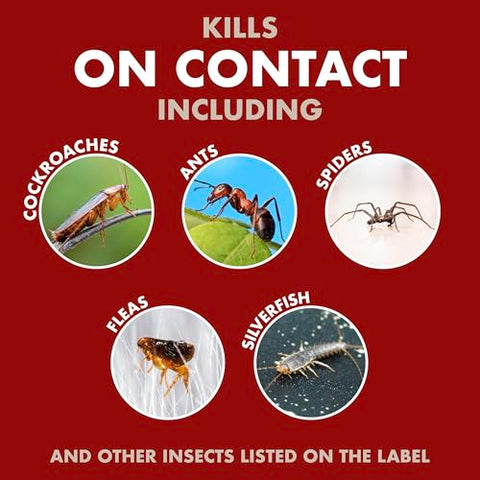 Spectracide Bug Stop AccuShot sprayer demonstrates easy, fatigue-free application.