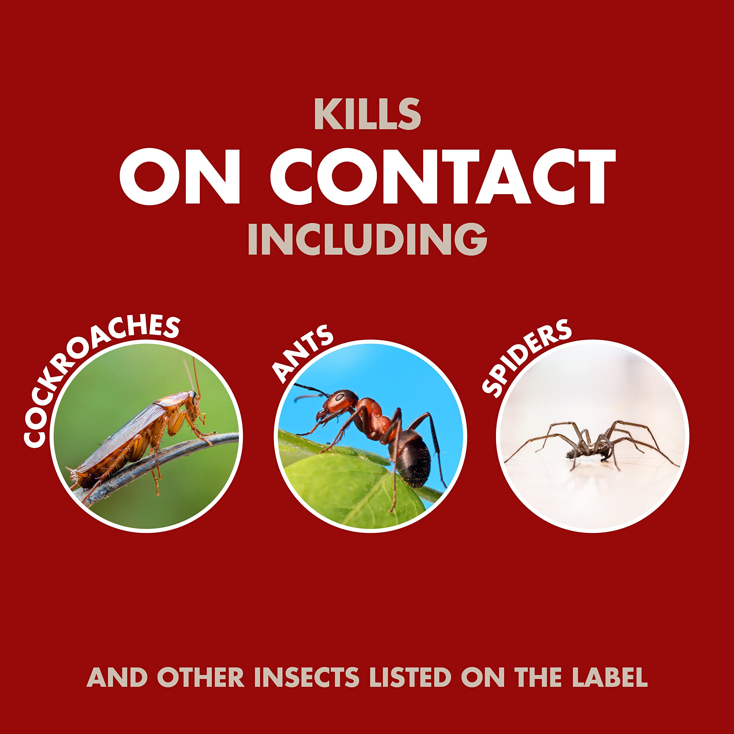 Spectracide Bug Stop Home Barrier outdoor foundation spray deters ants and other crawling pests