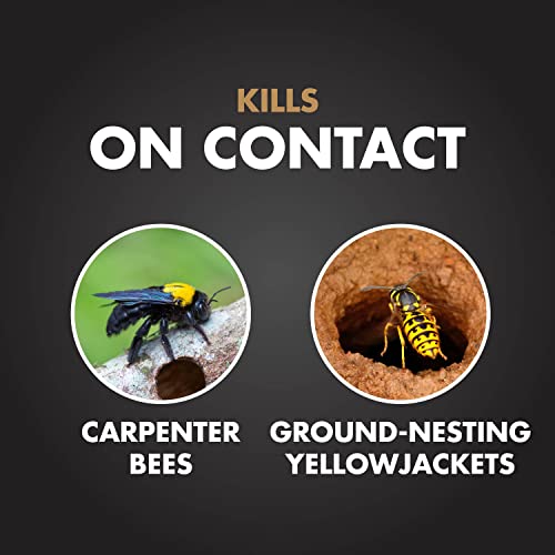 Spectracide treats active carpenter bee tunnels, distributing insecticide through the nest.