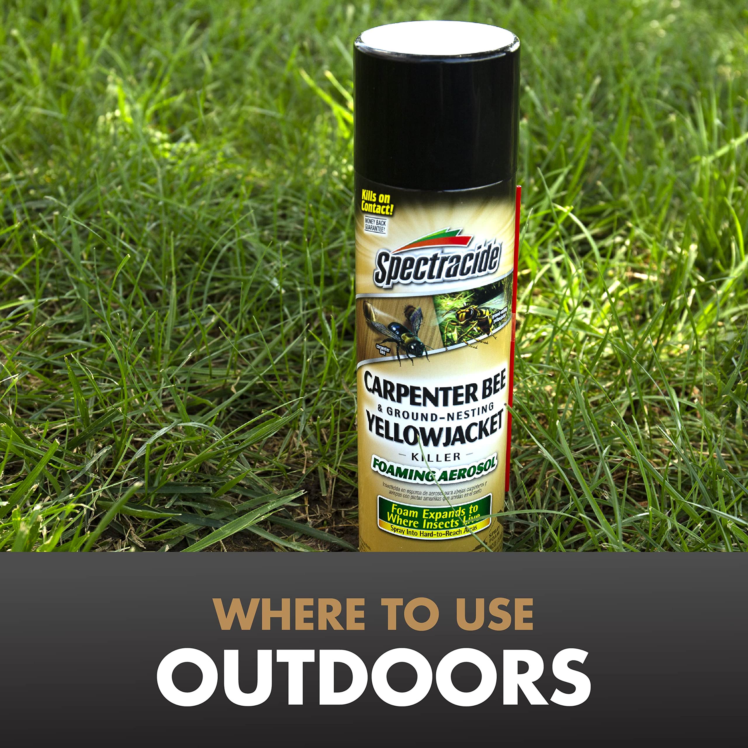 Leave entrance hole open 48 hours for distribution in active nests.