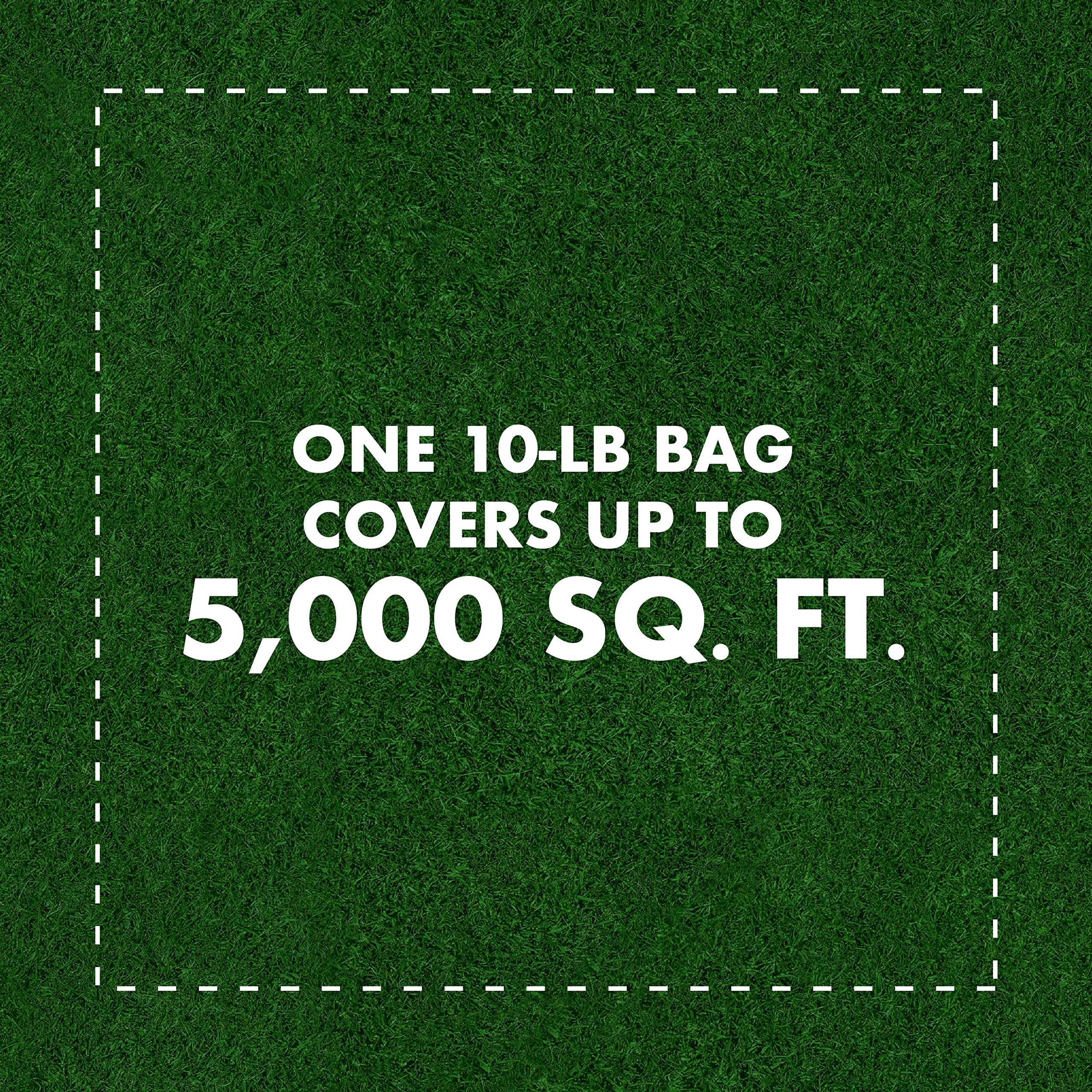 Spectracide Fire Ant Shield also kills crickets and other listed insects
