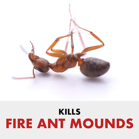 Spectracide Fire Ant Shield yard protection covers large areas around foundations