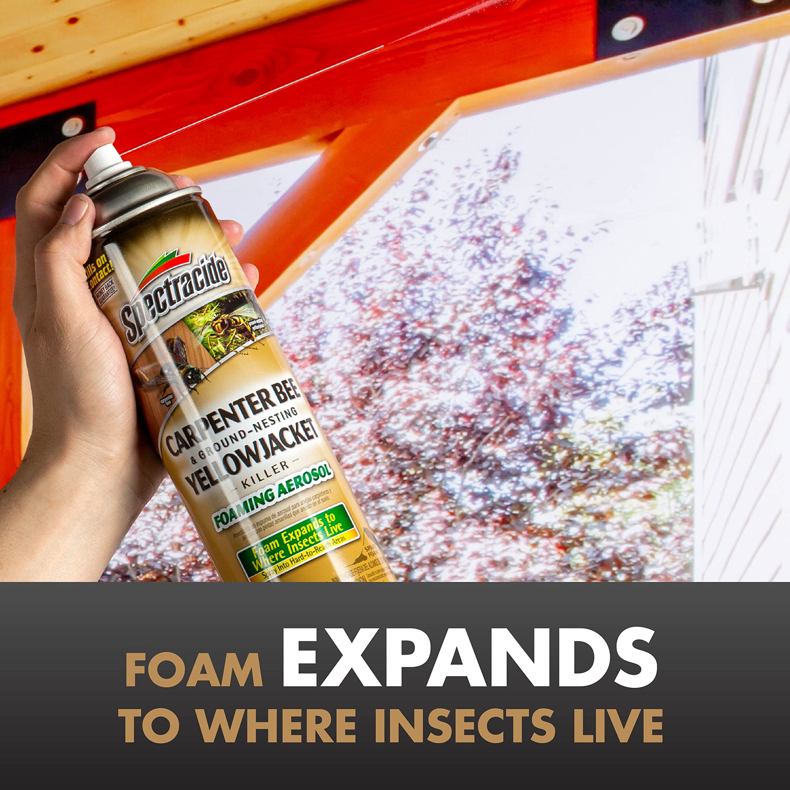 Spectracide targets ground-nesting yellowjackets by spraying directly into holes.