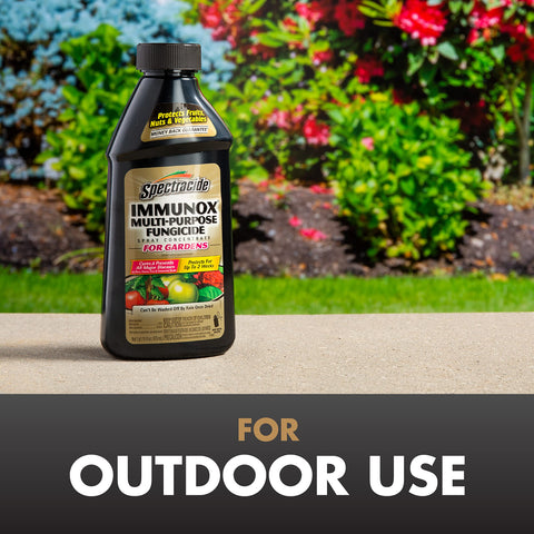 Spectracide Immunox application spray in use on ornamental shrubs.